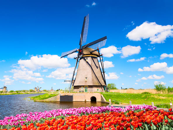 windmill in Rotterdam